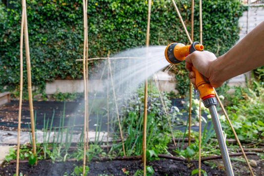 How to Water Your Garden Efficiently During Hot Summers