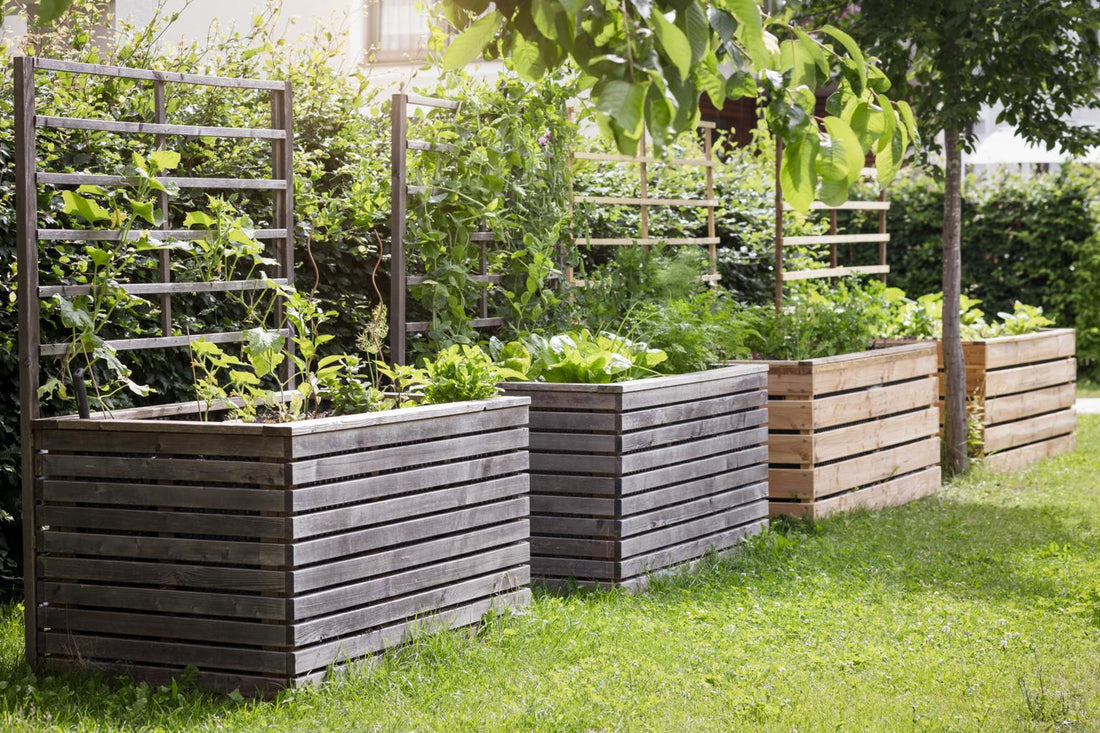 Best Garden Layout Tips for Small Spaces