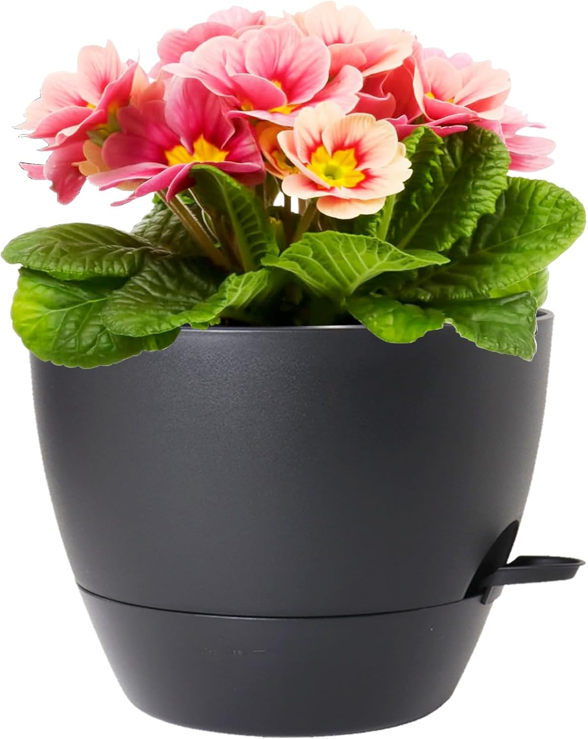 12 inch Large Self Watering Pots for Indoor Outdoor Plants, Flower Plant Pots with Mesh Drainage Holes for Garden House, Plastic Planters with Reservoir for Home Decor, Black