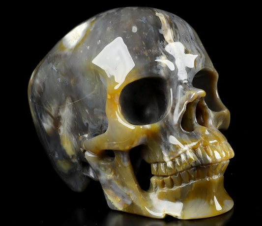 Skullis 5.0" African Petrified Wood Super Realistic Crystal Carved Crystal Skull. Hand Carved Gemstone Fine Art Sculpture.2261 Z8